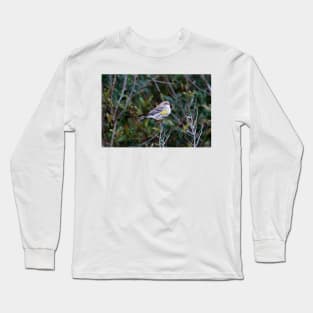 Yellow Rump Warbler Long Sleeve T-Shirt